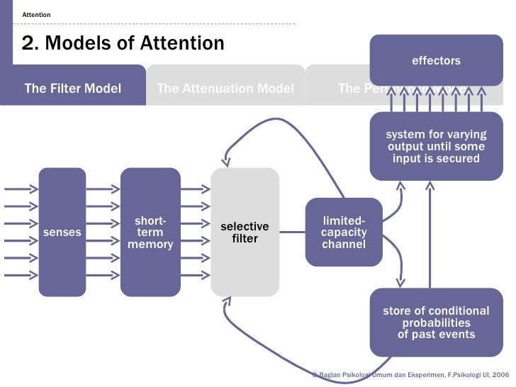 Cognitive 08 04 attention