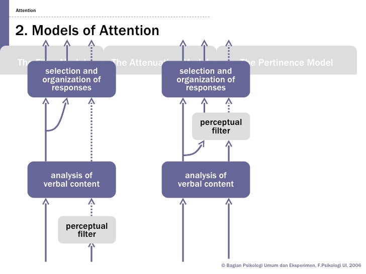 Cognitive 08 04 attention
