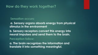 How do they work together?
Sensation occurs;
a. Sensory organs absorb energy from physical
stimulus in the environment
b. Sensory receptors convert this energy into
neural impulses and send them to the brain.
Perception follow;
a. The brain recognizes the information and
translate it into something meaningful.
 