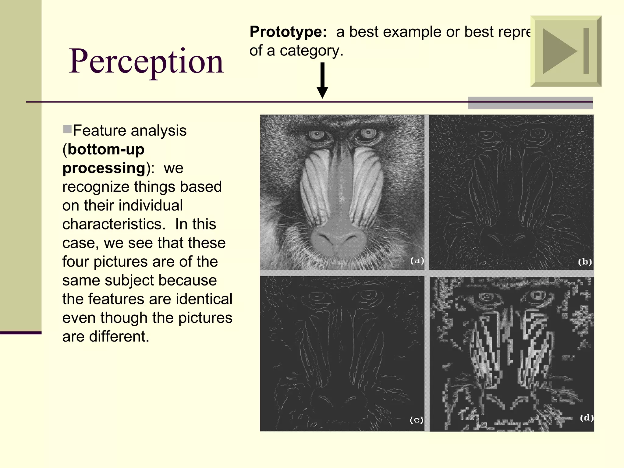 Prototype: a best example or best representative

Perception                   of a category.




Feature analysis
(bottom-up
processing): we
recognize things based
on their individual
characteristics. In this
case, we see that these
four pictures are of the
same subject because
the features are identical
even though the pictures
are different.
 