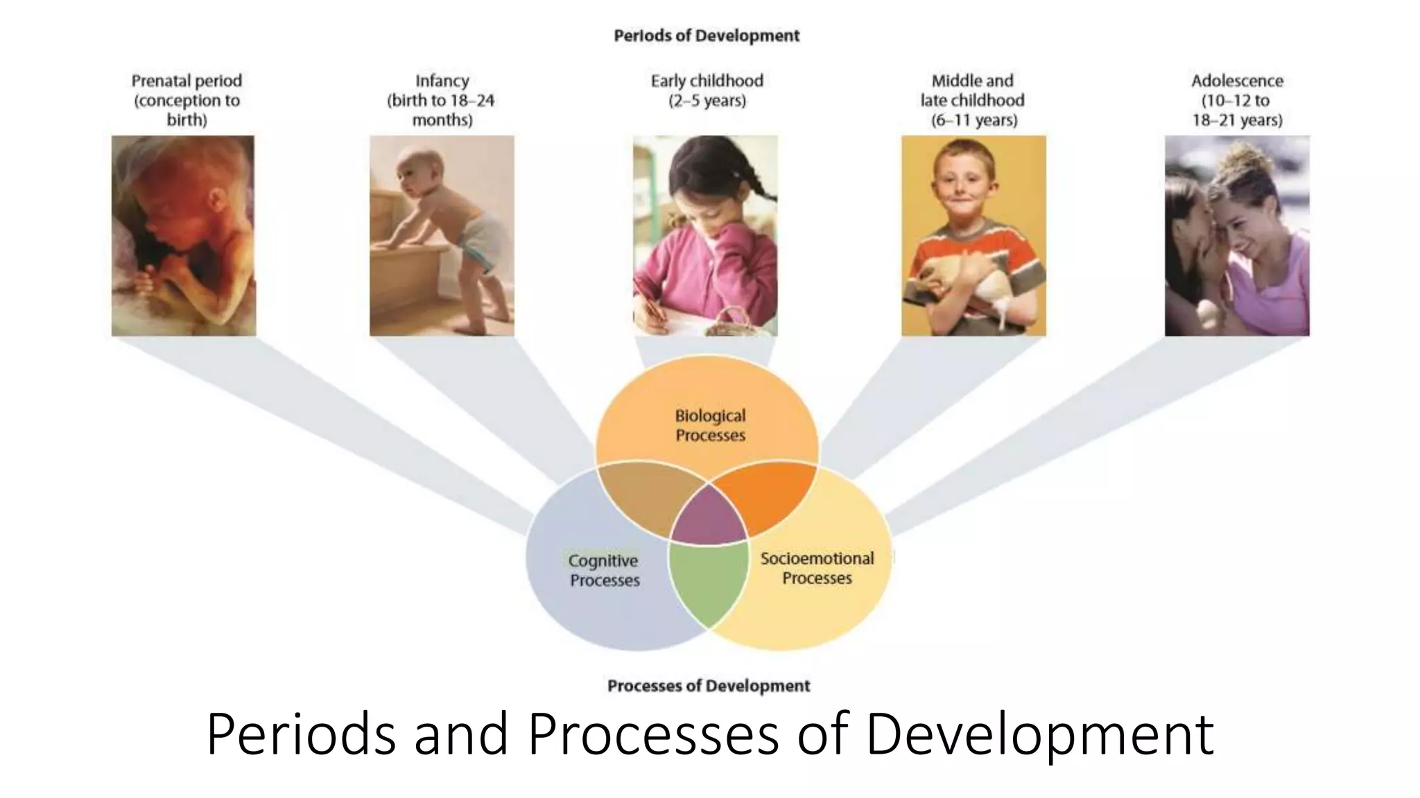 Cognitive and Language Development | PPTX