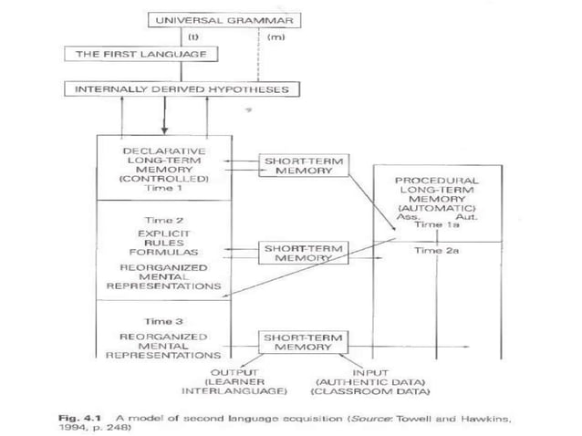 Cognitive Approaches to Second Language Acquisition | PPTX