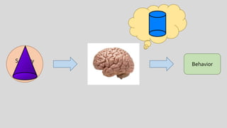 Cognitive Biases and Pareidolia/Apophenia | PPTX