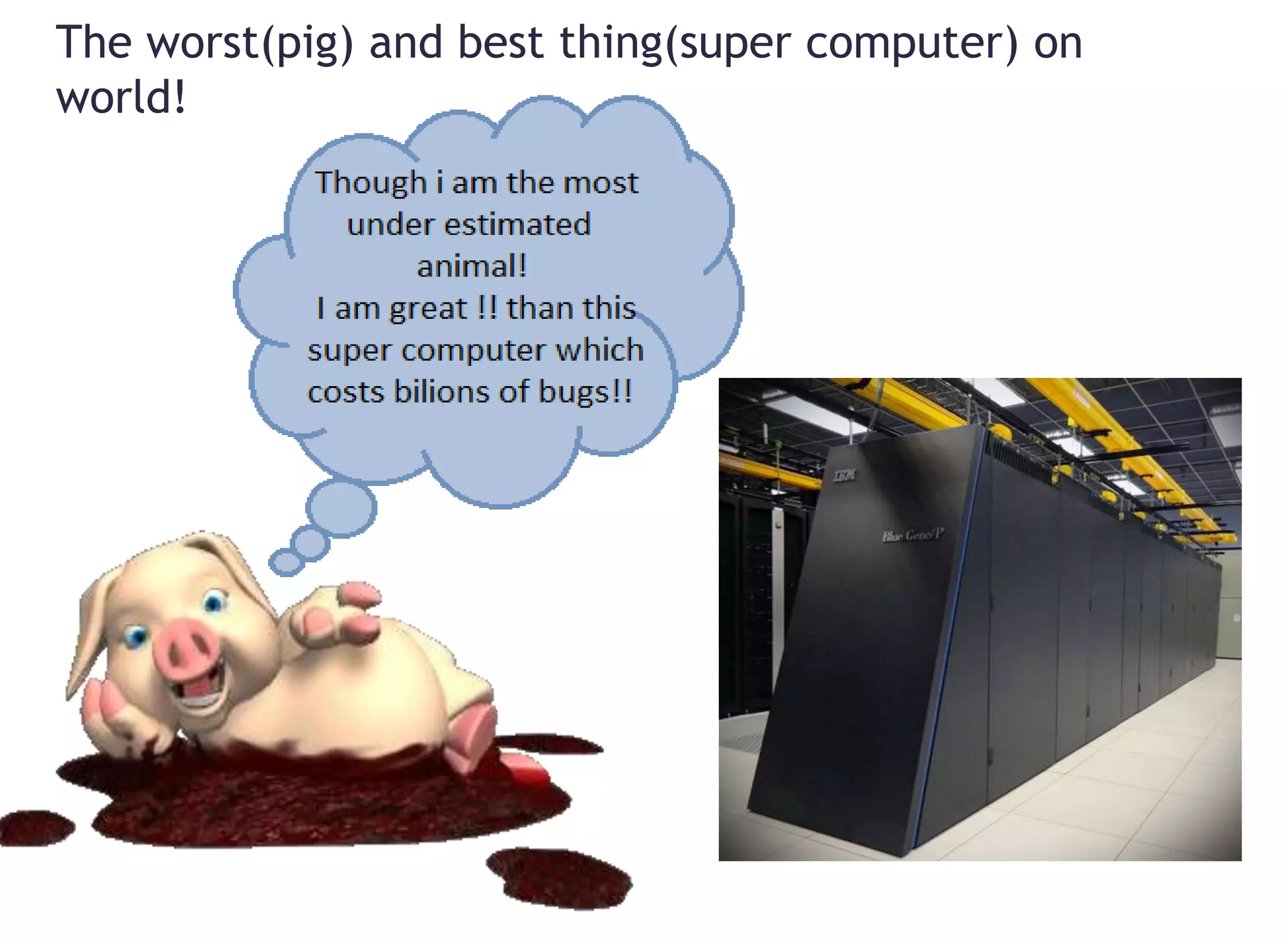 The worst(pig) and best thing(super computer) on
world!
 
