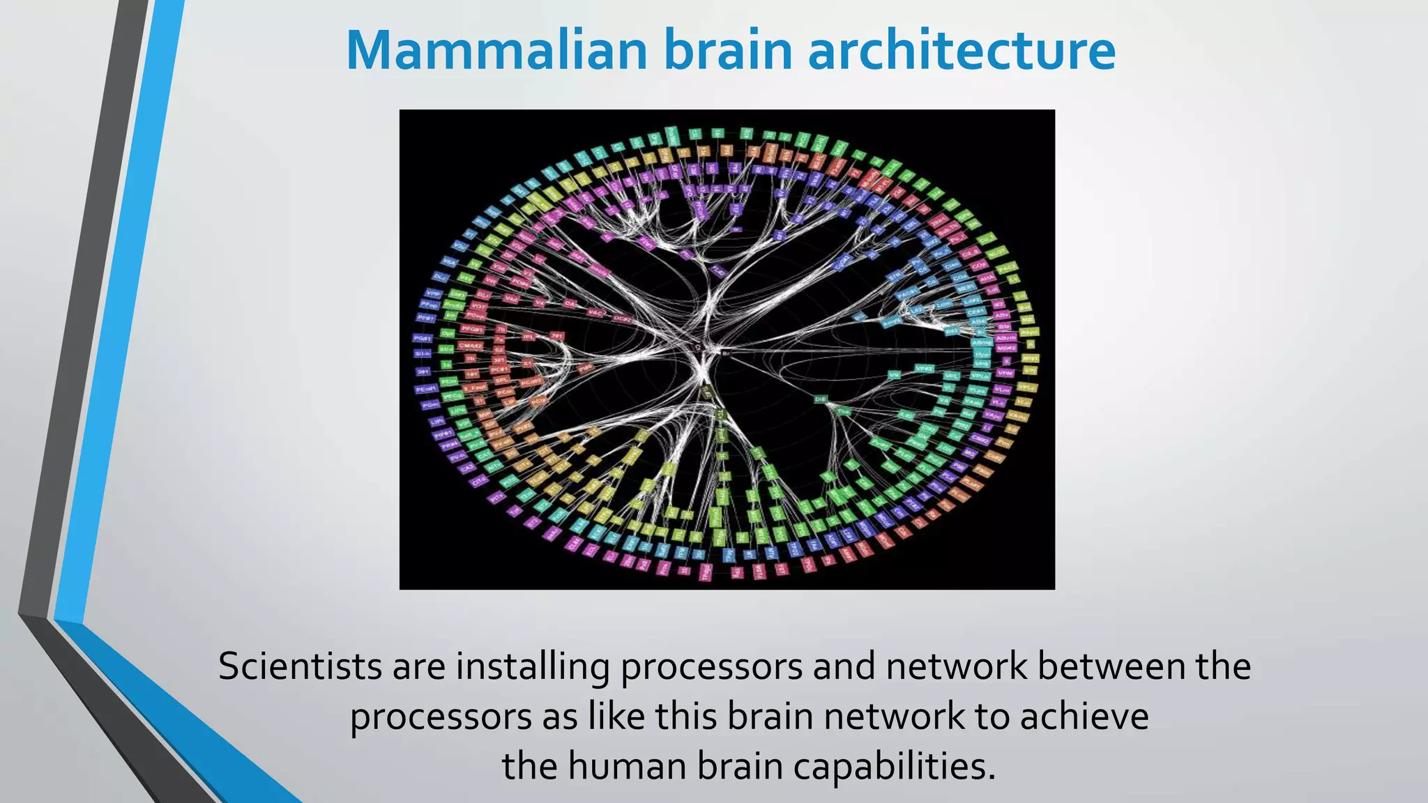 Mammalian brain architecture
Scientists are installing processors and network between the
processors as like this brain network to achieve
the human brain capabilities.
 