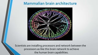 Mammalian brain architecture
Scientists are installing processors and network between the
processors as like this brain network to achieve
the human brain capabilities.
 