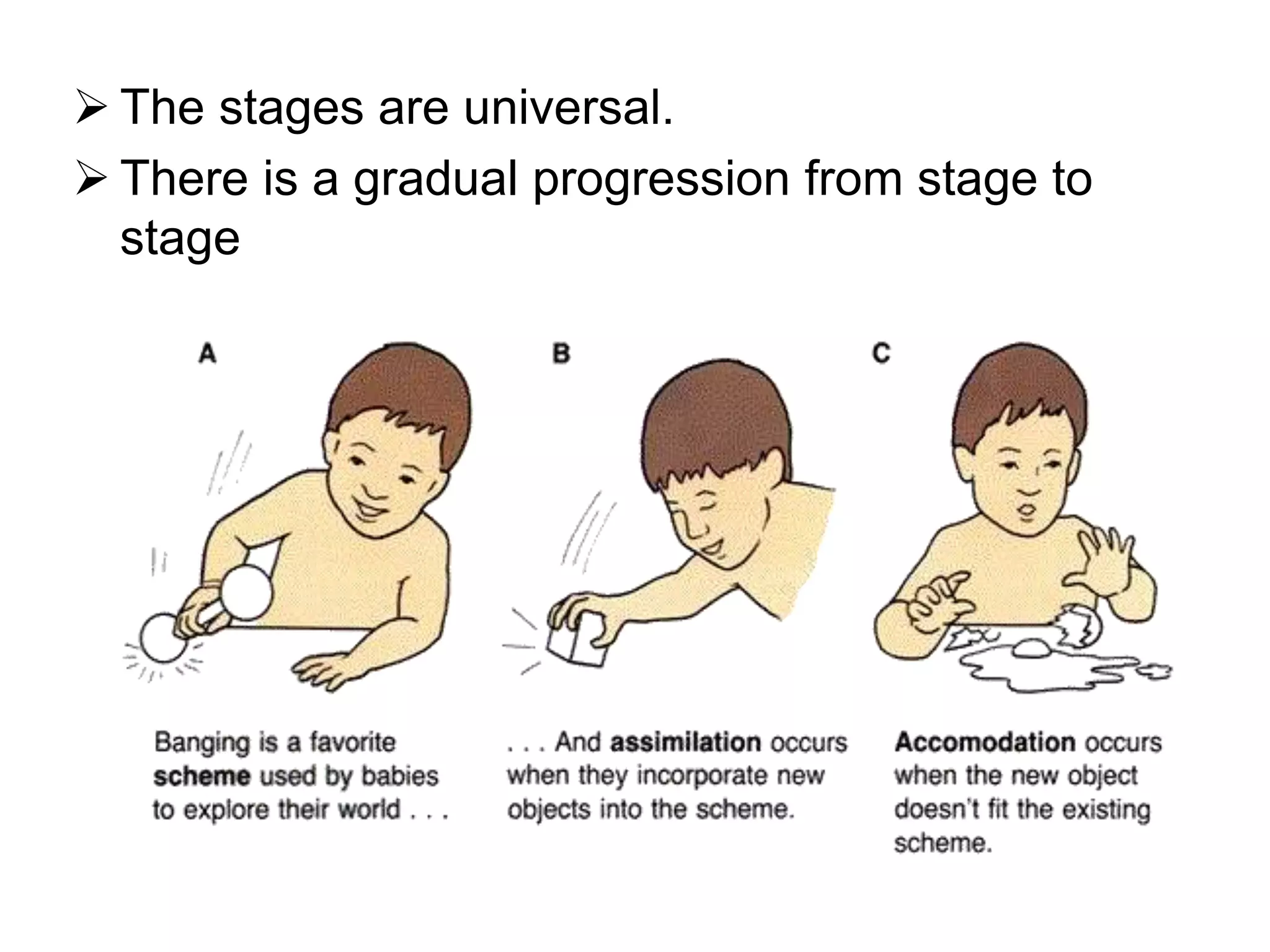  The stages are universal.
 There is a gradual progression from stage to
stage
 