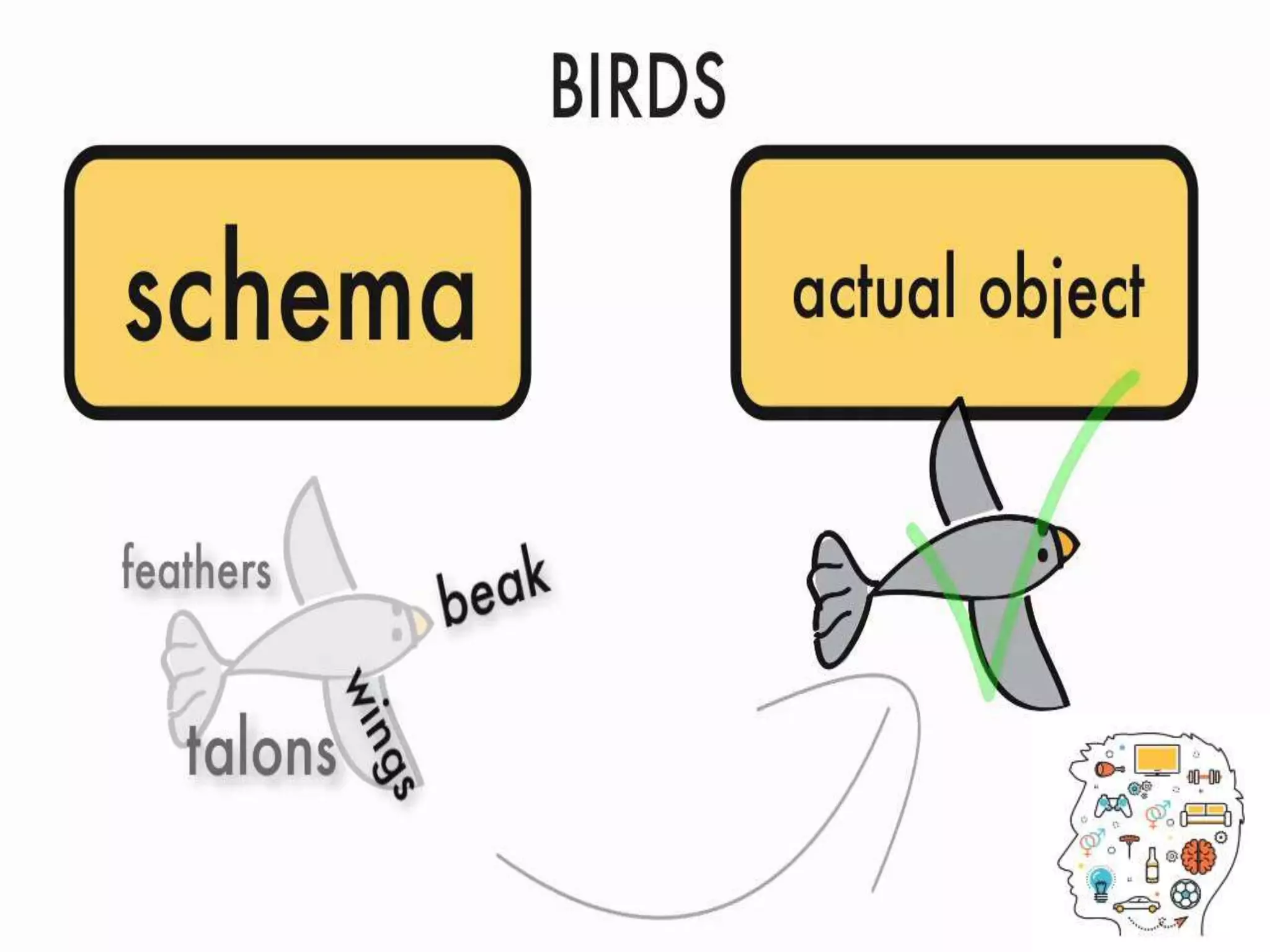 Cognitive Constructivism of Jean Piaget