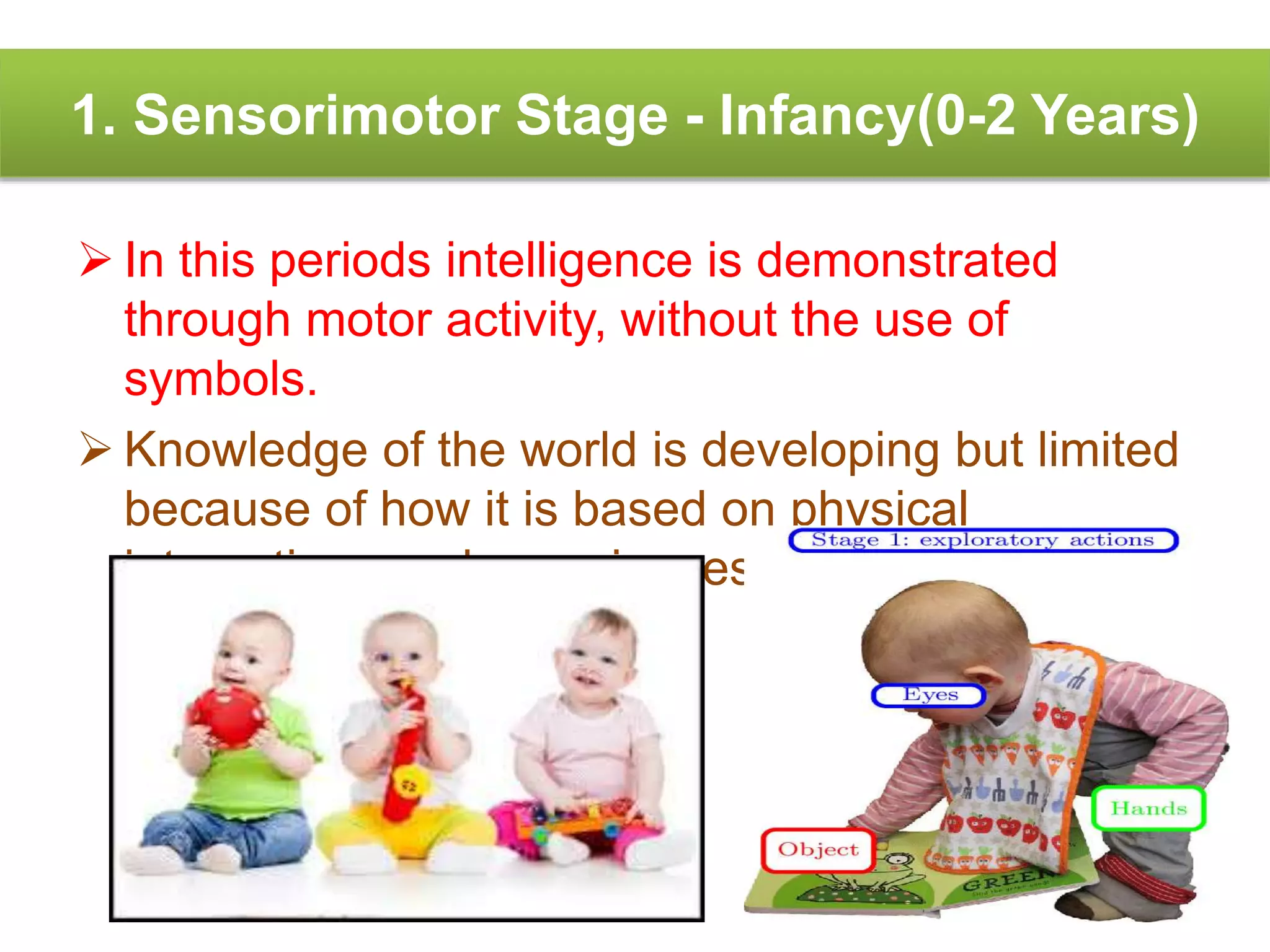 1. Sensorimotor Stage - Infancy(0-2 Years)
 In this periods intelligence is demonstrated
through motor activity, without the use of
symbols.
 Knowledge of the world is developing but limited
because of how it is based on physical
interactions and experiences.
 