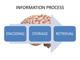 INFORMATION PROCESS
ENCODING STORAGE RETRIEVAL
 