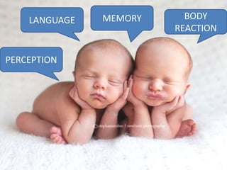 PERCEPTION
LANGUAGE MEMORY BODY
REACTION
 