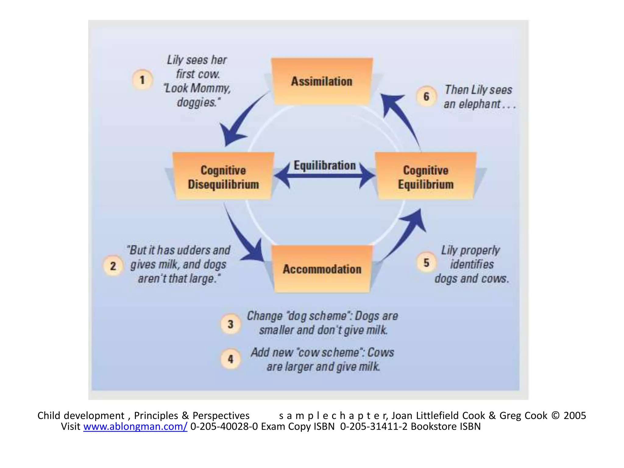 Child development , Principles & Perspectives s a m p l e c h a p t e r, Joan Littlefield Cook & Greg Cook © 2005
Visit www.ablongman.com/ 0-205-40028-0 Exam Copy ISBN 0-205-31411-2 Bookstore ISBN
 