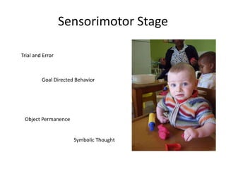 Sensorimotor StageTrial and ErrorGoal Directed BehaviorObject PermanenceSymbolic Thought