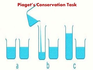 Piaget’s Conservation Task
 