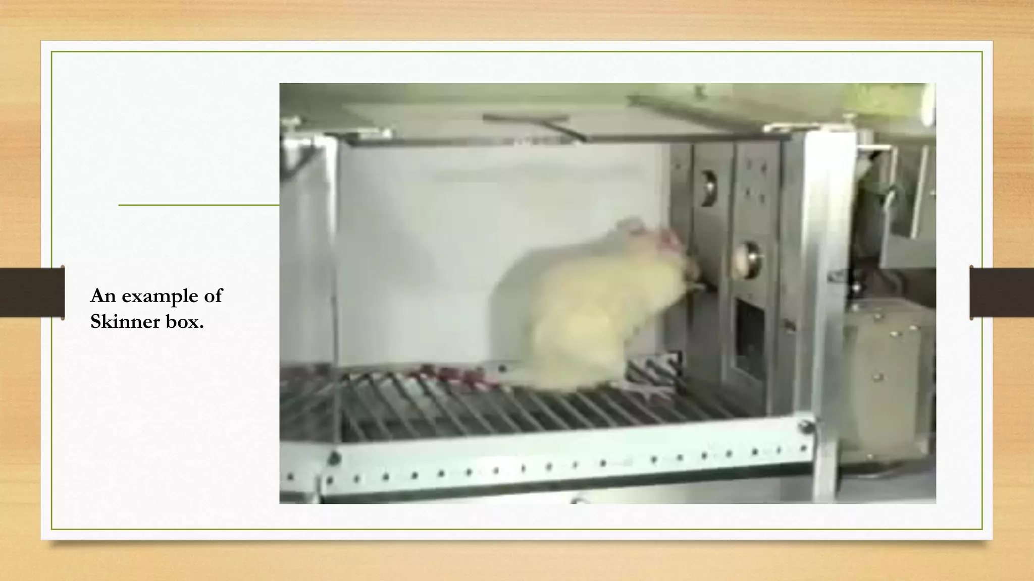 An example of
Skinner box.
 