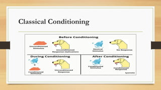 Classical Conditioning
 