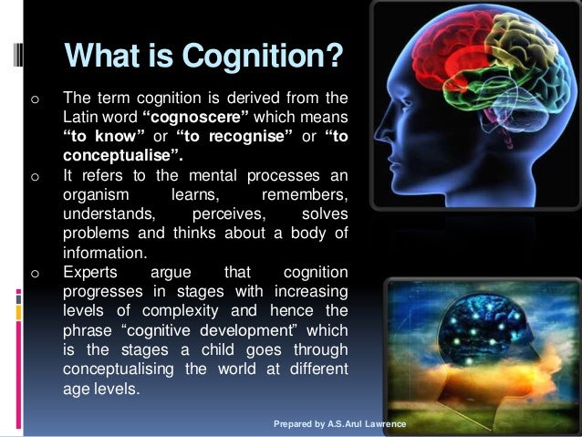 cognitive development definition