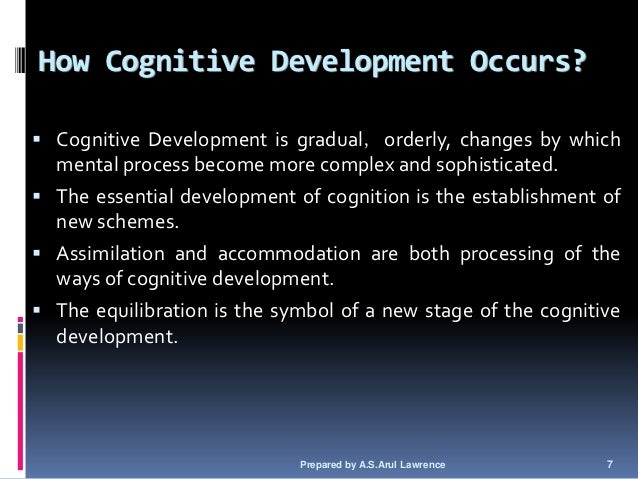 Piaget S Cognitive Development