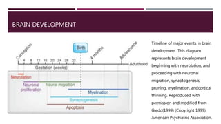 Cognitive development and aging | PPTX