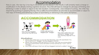 Accommodation
Now in case , the new toy is too big to be picked up and placed in the mouth, it will certainly need a change or
modification in the already existing cognitive structure. The child will have to change his old ways of thinking and
behaving in order to adapt or adjust to the new situation. Consequently , now instead of sucking , the child may
respond by pushing or grasping the toy. This is called Accommodation as one tries to accommodate or adjust to
new ways of thinking and behaving in place of assimilating or behaving in the same old fashion.
 
