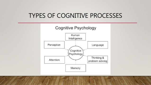 types of cognitive development