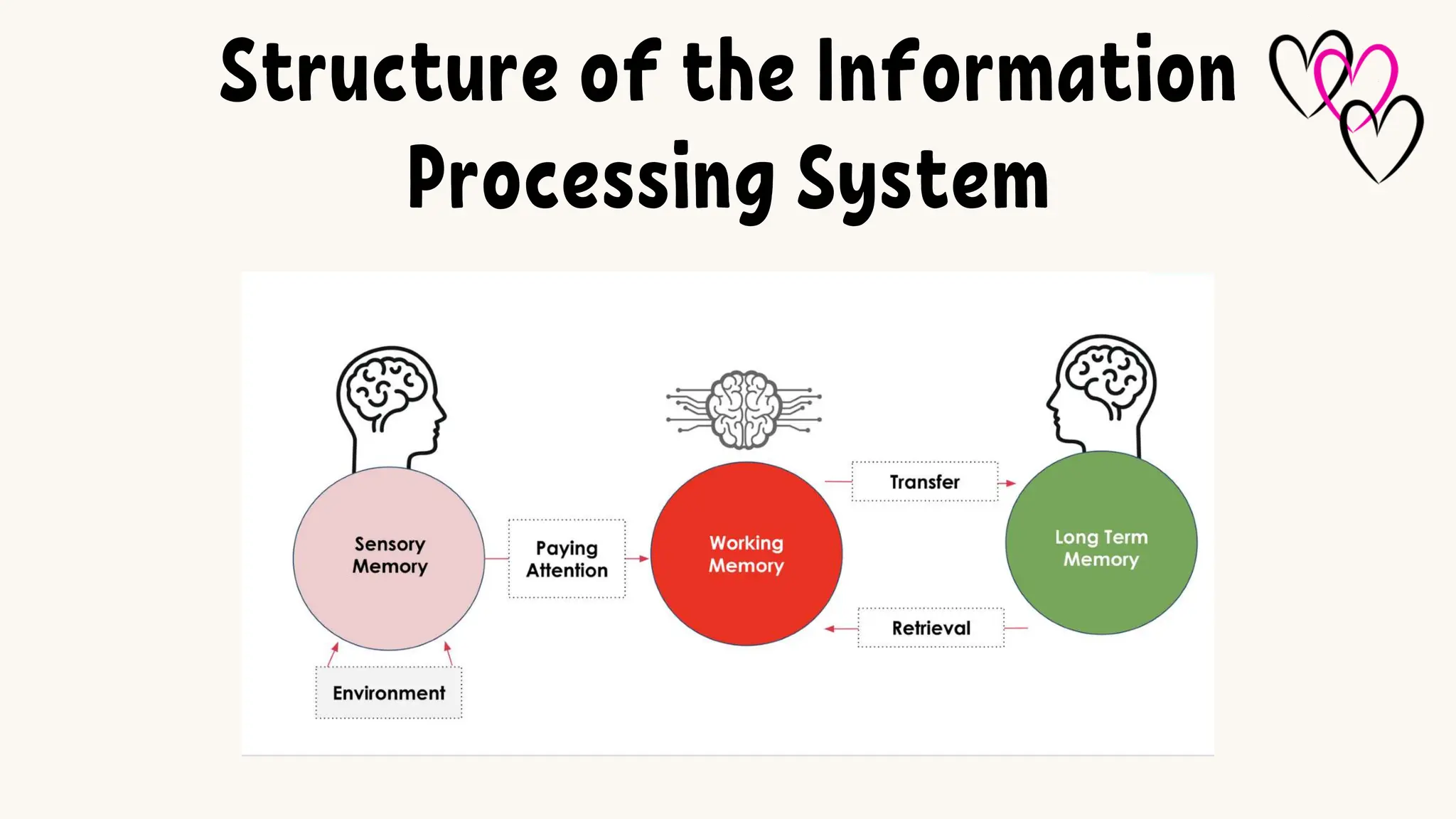 Structure of the Information
Processing System
 