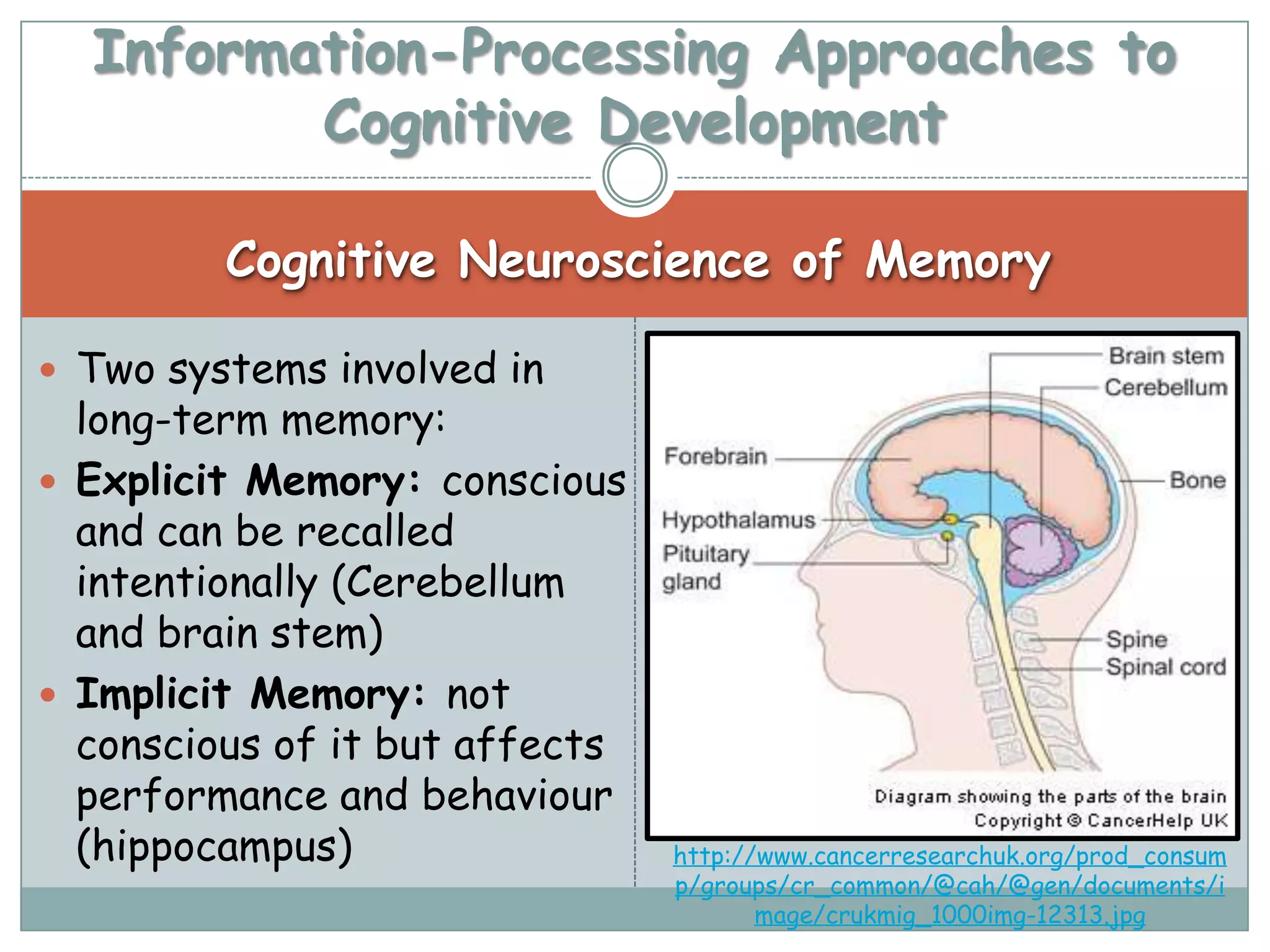 Information-Processing Approaches to
         Cognitive Development

         Cognitive Neuroscience of Memory

 Two systems involved in
  long-term memory:
 Explicit Memory: conscious
  and can be recalled
  intentionally (Cerebellum
  and brain stem)
 Implicit Memory: not
  conscious of it but affects
  performance and behaviour
  (hippocampus)                 http://www.cancerresearchuk.org/prod_consum
                                p/groups/cr_common/@cah/@gen/documents/i
                                       mage/crukmig_1000img-12313.jpg
 