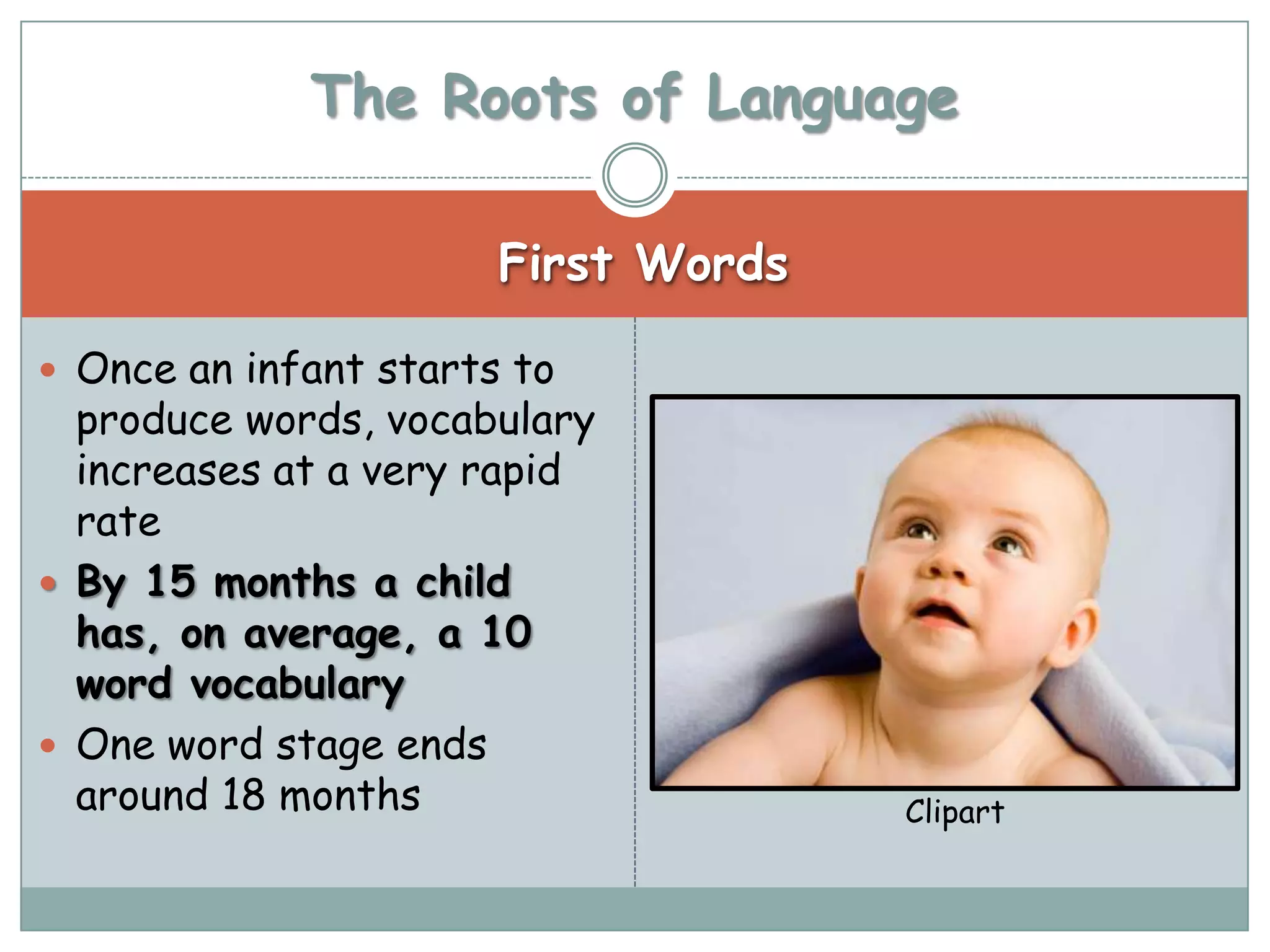 The Roots of Language

                       First Words

 Once an infant starts to
  produce words, vocabulary
  increases at a very rapid
  rate
 By 15 months a child
  has, on average, a 10
  word vocabulary
 One word stage ends
  around 18 months                   Clipart
 