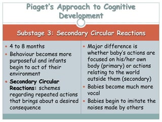Piaget’s Approach to Cognitive
                 Development

    Substage 3: Secondary Circular Reactions

 4 to 8 months                Major difference is
 Behaviour becomes more        whether baby’s actions are
  purposeful and infants        focused on his/her own
  begin to act of their         body (primary) or actions
  environment                   relating to the world
 Secondary Circular
                                outside them (secondary)
  Reactions: schemes           Babies become much more
  regarding repeated actions    vocal
  that brings about a desired  Babies begin to imitate the
  consequence                   noises made by others
 