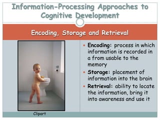 Information-Processing Approaches to
       Cognitive Development

     Encoding, Storage and Retrieval
                      Encoding: process in which
                       information is recorded in
                       a from usable to the
                       memory
                      Storage: placement of
                       information into the brain
                      Retrieval: ability to locate
                       the information, bring it
                       into awareness and use it

     Clipart
 