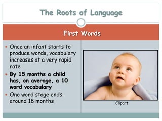 The Roots of Language

                       First Words

 Once an infant starts to
  produce words, vocabulary
  increases at a very rapid
  rate
 By 15 months a child
  has, on average, a 10
  word vocabulary
 One word stage ends
  around 18 months                   Clipart
 
