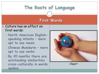 The Roots of Language

                        First Words
 Culture has an effect on
 first words:
  North American English-
   speaking infants – more
   apt to use nouns
  Chinese Mandarin – more
   apt to use verbs
  By 20 months there are
   outstanding similarities
   cross-culturally in words          Clipart
   spoken
 
