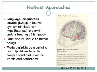 Nativist Approaches

 Language-Acquisition
  Device (LAD): a neural
  system of the brain
  hypothesized to permit
  understanding of language
 Language is unique to human
  beings
 Made possible by a genetic
  predisposition to both
  comprehend and produce
  words and sentences

                                (Feldman, 2012, Pg. 162)
 