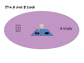 Cognitive development Jean Piaget.ppt.... | PPT