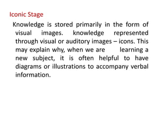 bruners stages of cognitive development