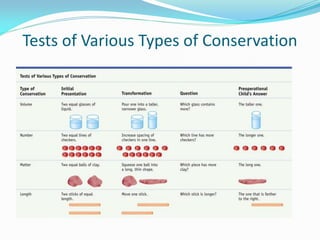 Lecture 11:Cognitive development of children- Dr.Reem AlSabah | PDF