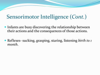 centration in child development