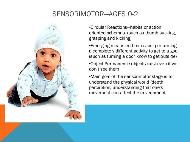 Cognitive development piaget ppt_3