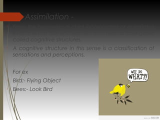 Assimilation -

From the beginning a child incorporates or assimilates
events within the environment into mental categories
called cognitive structures.

A cognitive structure in this sense is a classification of
sensations and perceptions.

For ex

Bird:- Flying Object

Bees:- Look Bird
 