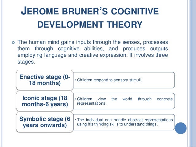 Human Development-Stage Theories