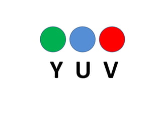 Y U V  