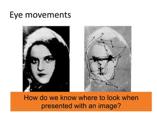 Eye movements 
How do we know where to look when presented with an image?  