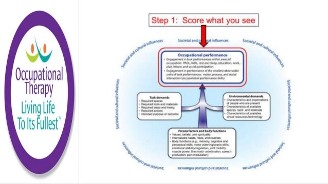 Occupational Therapy Cognitive Functional Evaluation