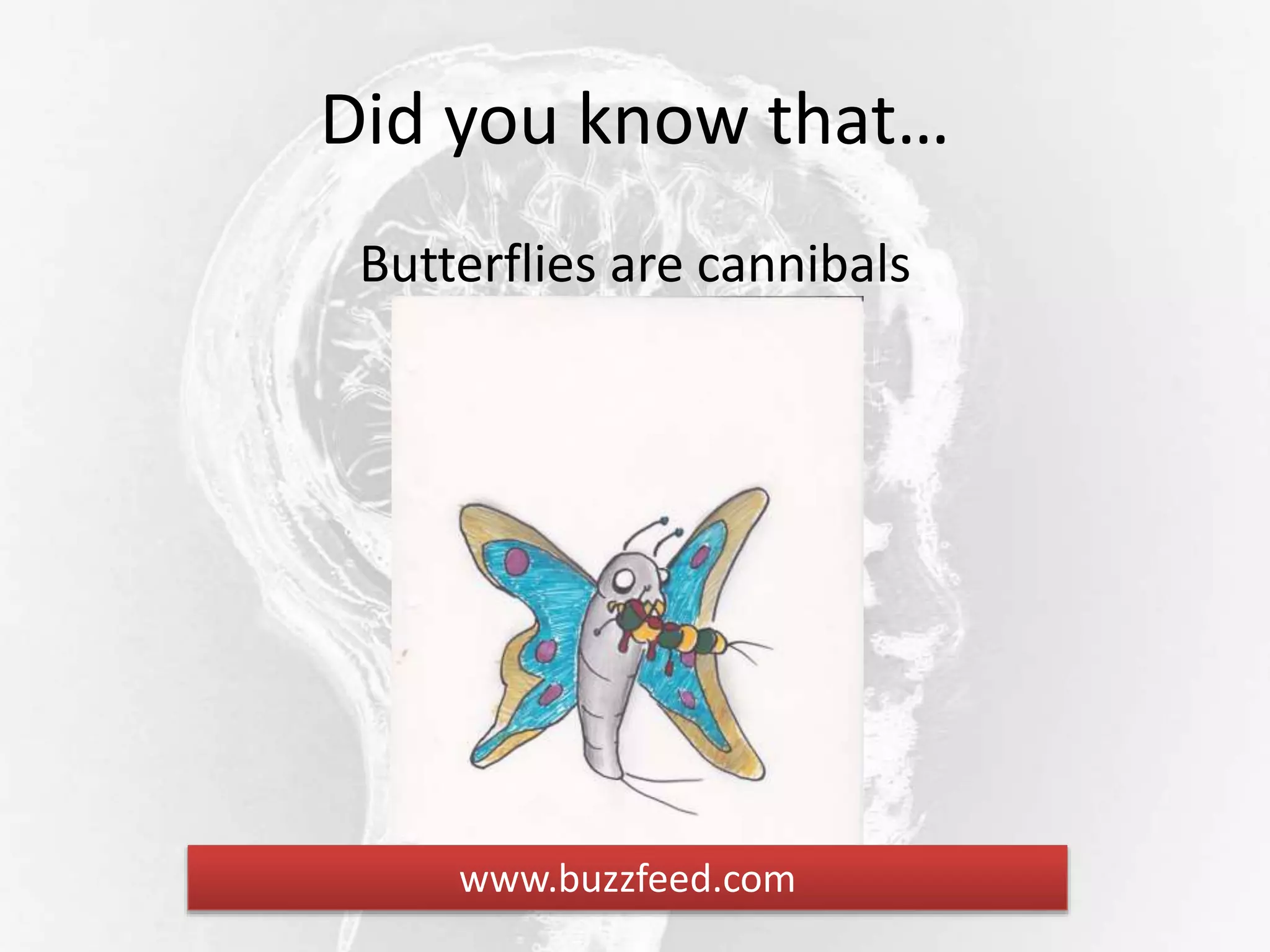 Did you know that…
Butterflies are cannibals
www.buzzfeed.com
 