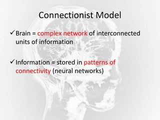 Connectionist Model
Brain = complex network of interconnected
units of information
Information = stored in patterns of
connectivity (neural networks)
 