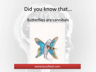 Did you know that…
Butterflies are cannibals
www.buzzfeed.com
 