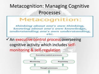 Cognitive Learning Theory