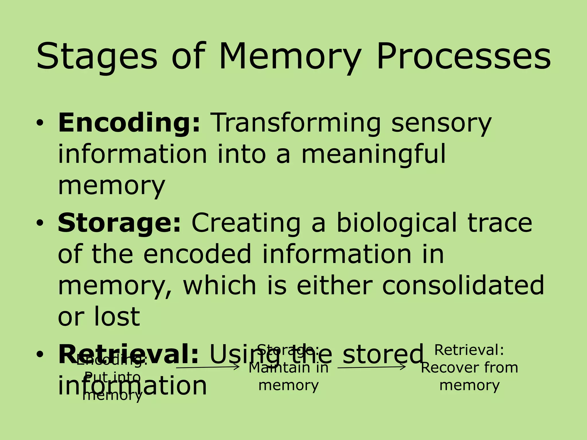 Stages of Memory Processes
• Encoding: Transforming sensory
information into a meaningful
memory
• Storage: Creating a biological trace
of the encoded information in
memory, which is either consolidated
or lost
• Retrieval: Using the stored
information
Encoding:
Put into
memory
Storage:
Maintain in
memory
Retrieval:
Recover from
memory
 
