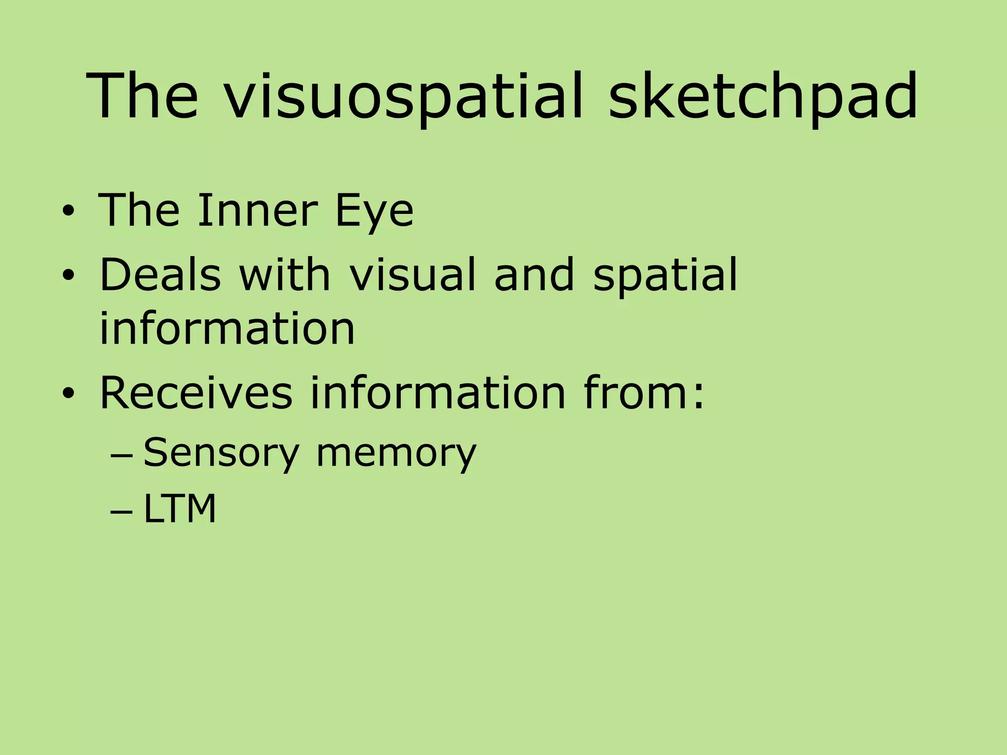 The visuospatial sketchpad
• The Inner Eye
• Deals with visual and spatial
information
• Receives information from:
– Sensory memory
– LTM
 