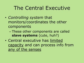 Cognitive Level of Analysis: Cognitive Processes | PPTX